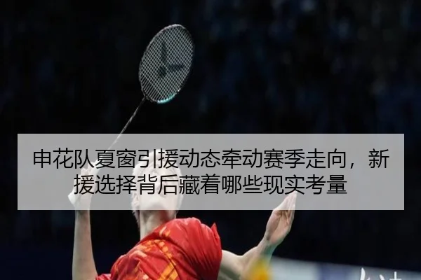申花队夏窗引援动态牵动赛季走向，新援选择背后藏着哪些现实考量（DouYu）